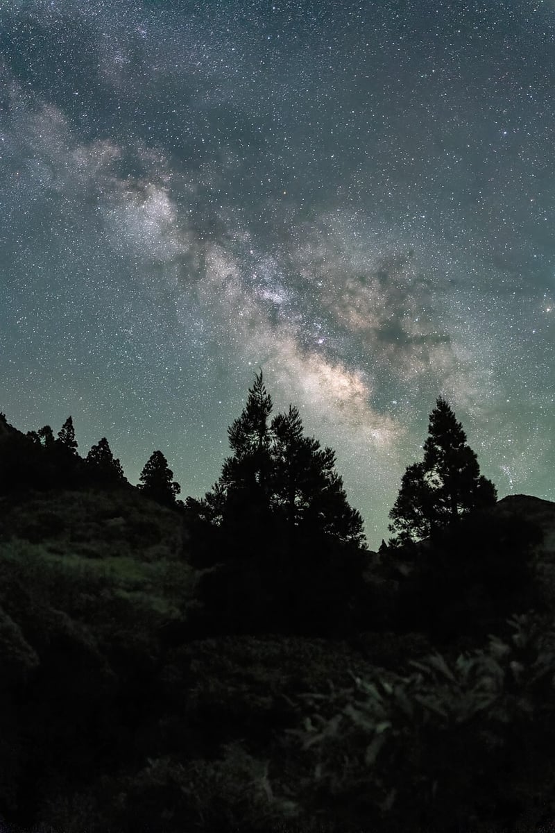Milky Way Delights